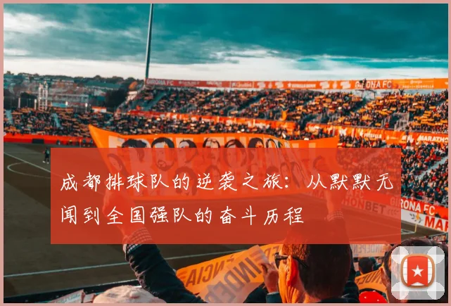成都排球队的逆袭之旅：从默默无闻到全国强队的奋斗历程