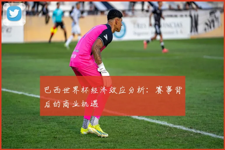 巴西世界杯经济效应分析：赛事背后的商业机遇